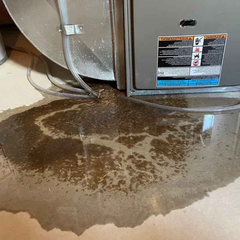 Pipe Burst and Leak Restoration in Tonawanda, NY