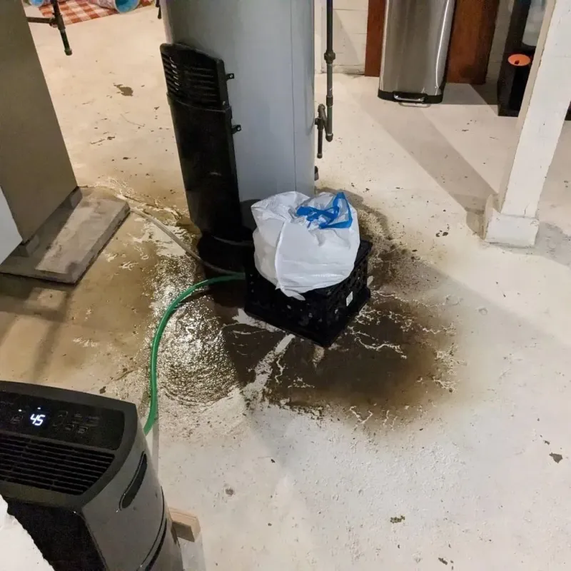 Sewage Backup Cleanup Service in Tonawanda, NY